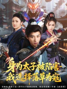 身为太子被陷害，我选择落草为寇 海报