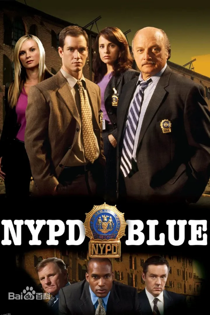 纽约重案组第五季 海报