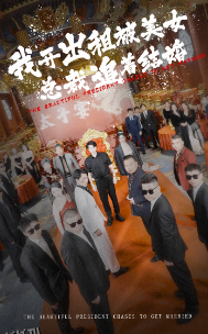 我开出租被美女总裁追着结婚 海报