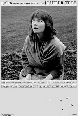 女巫恋人[电影解说] 海报