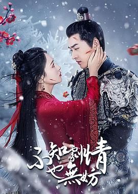 不知剧情也无妨 高清海报