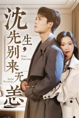 沈先生，别来无恙 海报