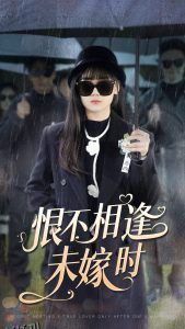 恨不相逢未嫁时 高清海报