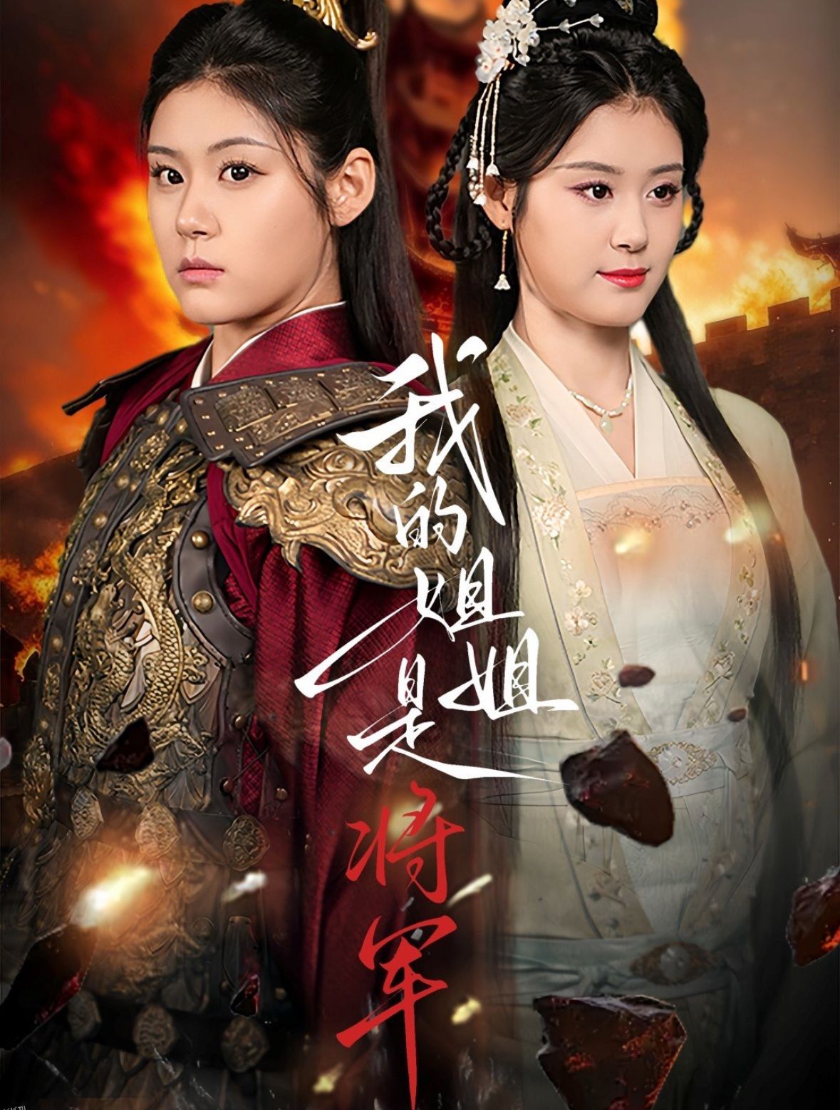 我的姐姐是将军 海报