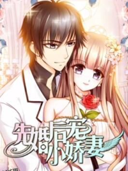 先婚后宠小娇妻第一季 海报