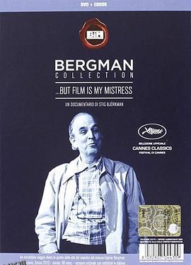 电影是我的情妇 海报