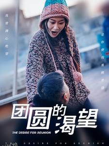 团圆的渴望 高清海报