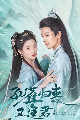 孔雀圣使请动心 海报