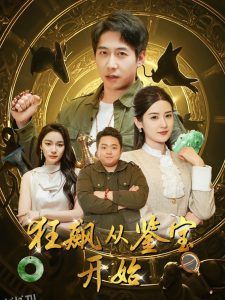 狂飙从鉴宝开始 海报