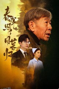 春晖照日暮归 高清海报