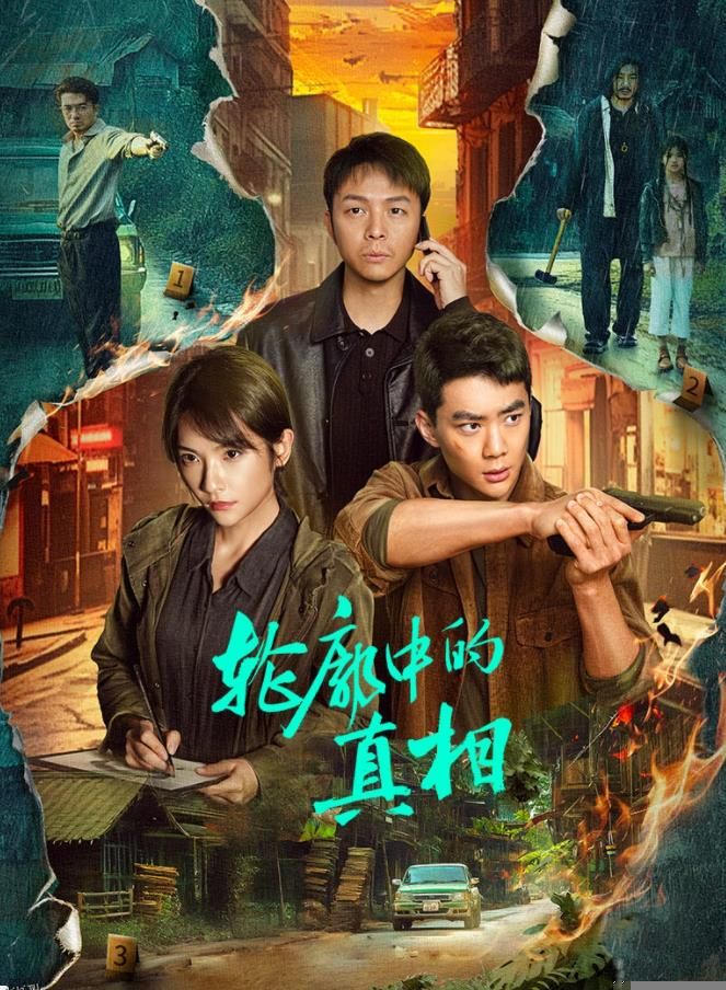 轮廓中的真相 海报