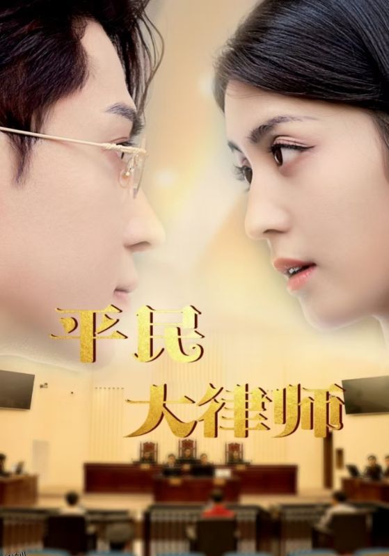 平民大律师 海报