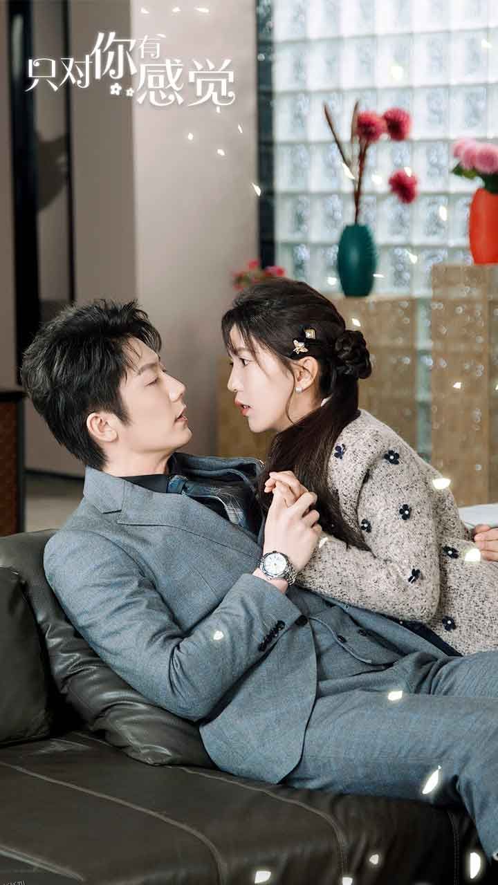 只对你有感觉 海报