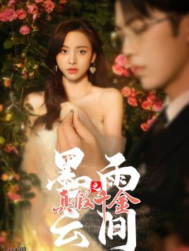 墨雨云间之真假千金 海报