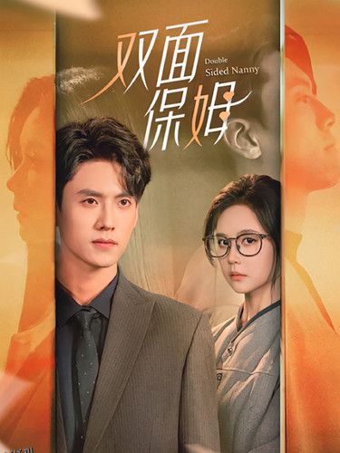 双面保姆 海报
