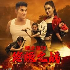 缅北反诈终极之战 海报