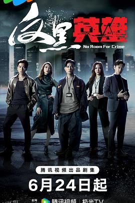 反黑英雄粤语 海报