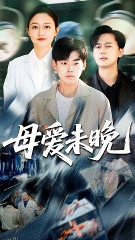 母爱未晚 海报
