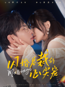 闪婚总裁的心尖宠 海报