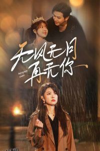 无风无月再无你 海报