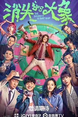 消失的大象 海报