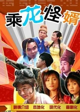 乘龙怪婿粤语第一季 海报