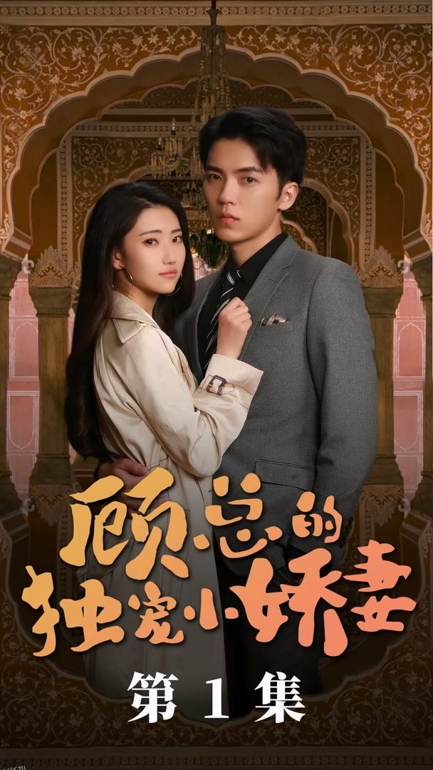 历总的私密小娇妻 海报