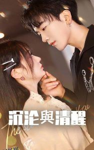 沉沦与清醒 海报