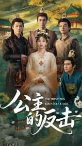 公主的反击 海报