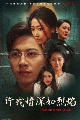 许我情深如烈焰 海报