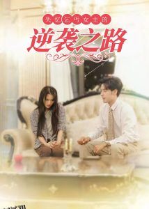 失忆乞丐女主的逆袭之路 高清海报