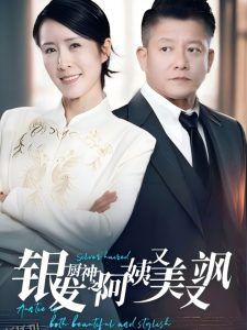 银发厨神之阿姨又美又飒 海报