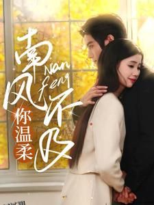 南风不及你温柔 高清海报