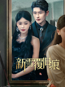 新雪覆旧痕 高清海报