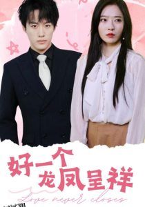 好一个龙凤呈祥 海报