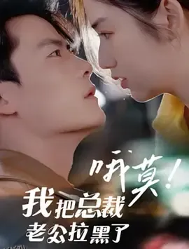 哦莫我把总裁老公拉黑了 海报