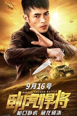 卧虎悍将 海报