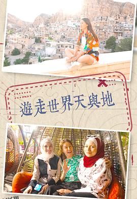 游走世界天与地 海报