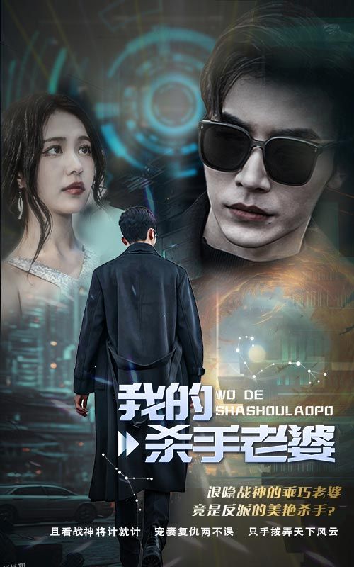 我的杀手老婆 海报