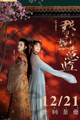 我的丫鬟是总监 海报