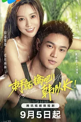 束手就擒吧！韩队长 海报