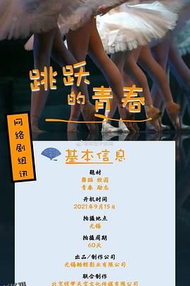 跳跃的青春 海报