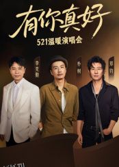 有你真好·温暖演唱会 海报