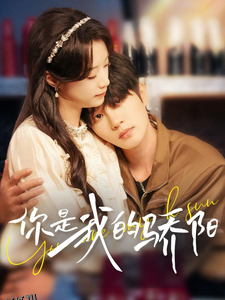 你是我的骄阳 海报