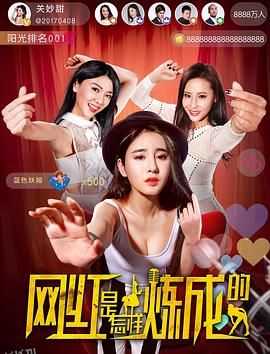 网红是怎样炼成的 海报