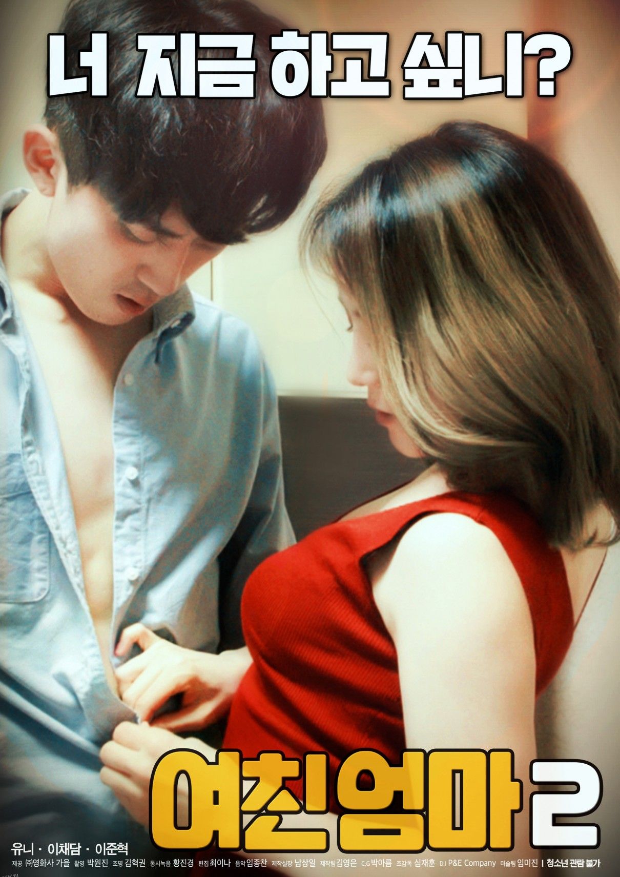 女友的妈妈2 海报