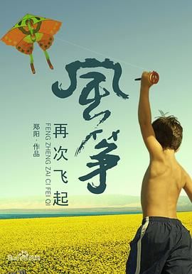 风筝再次飞起 海报