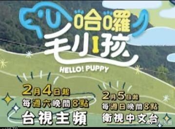 哈啰！毛小孩 海报