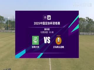 足协杯资格赛 深圳兴隽VS青岛崂山港帆 20241220 高清海报