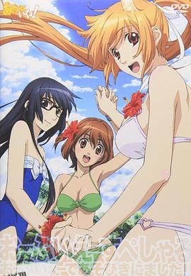 玩伴猫耳娘！OVA 海报